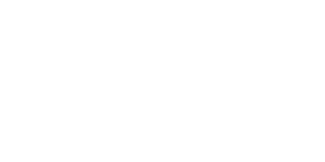 ASNPrompt